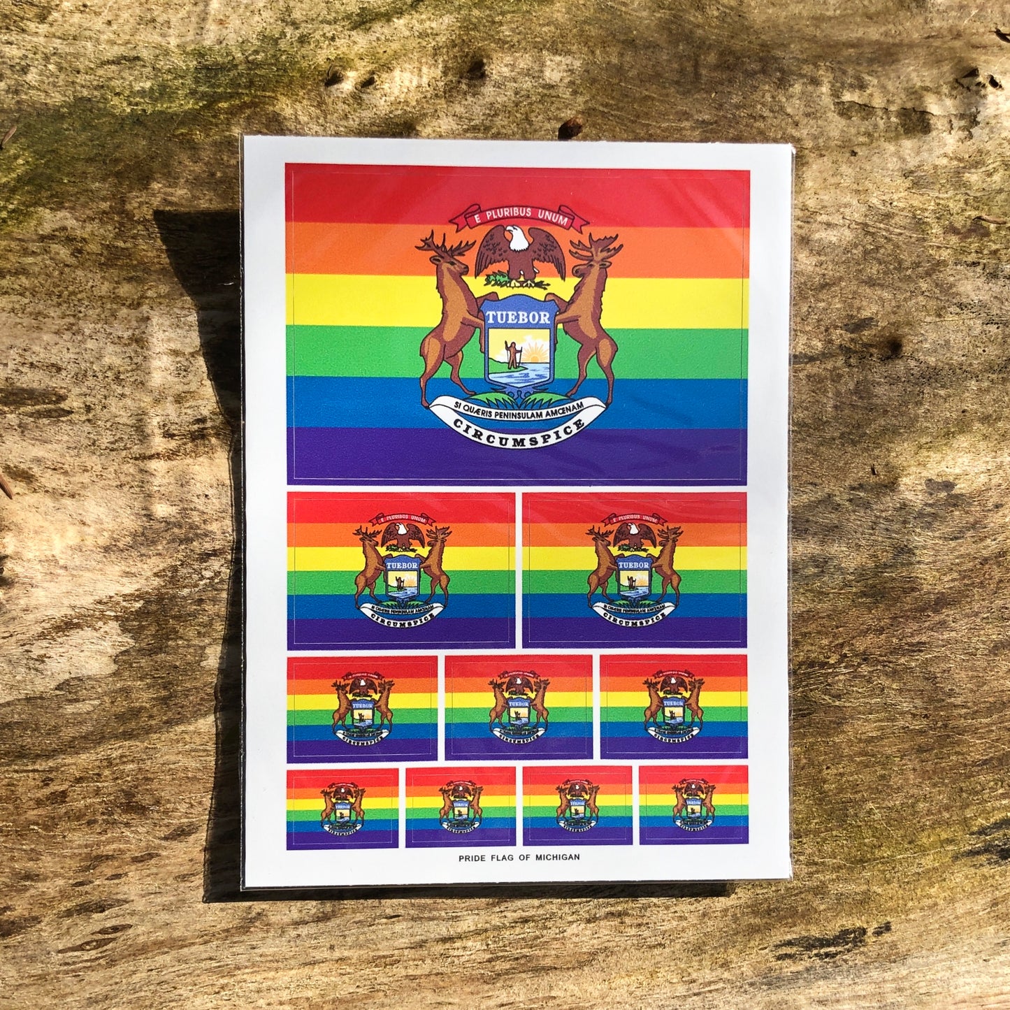 Michigan LGBTQ Pride Flag Stickers