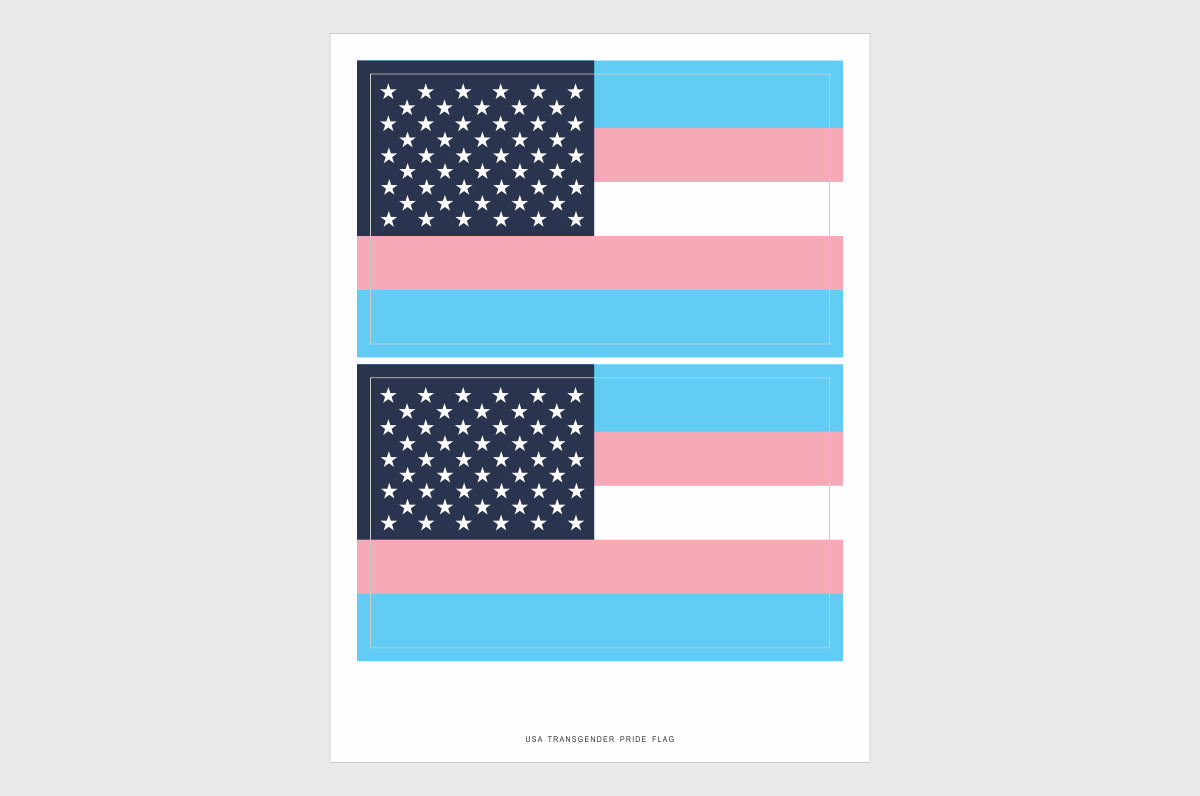 United States, USA Transgender Pride Flag Stickers